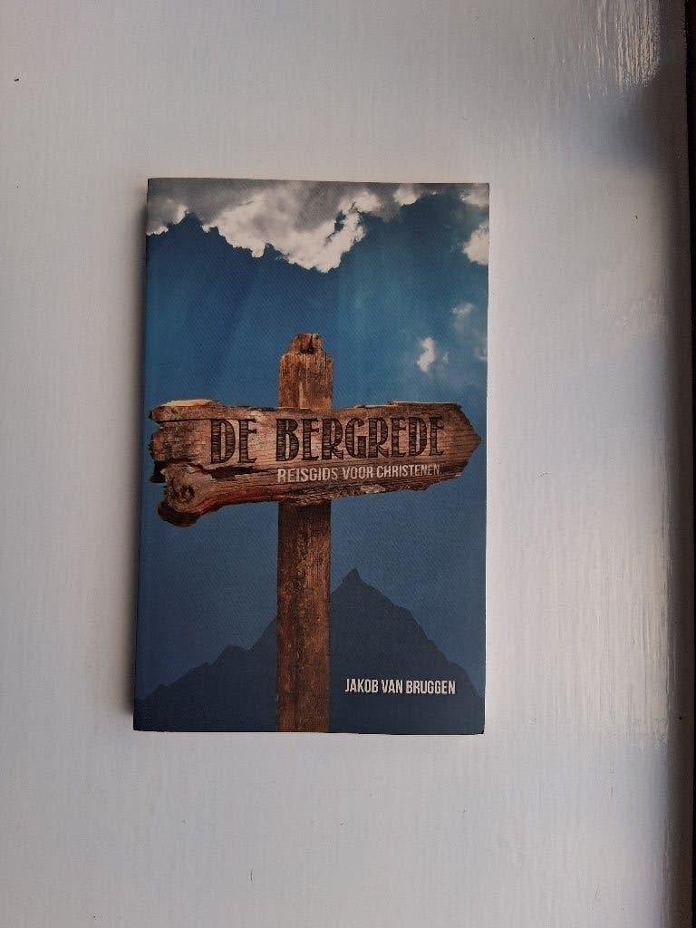 De Bergrede - Jakob van Bruggen, Boeken, Christendom | Protestants, Ophalen of Verzenden, Zo goed als nieuw, Jakob van Bruggen
