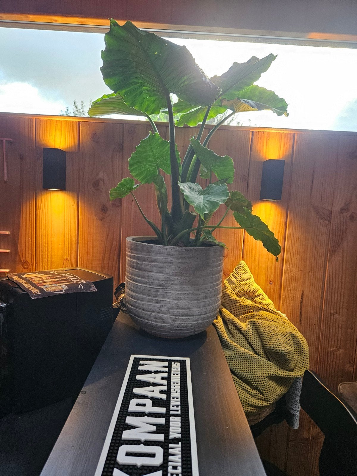 Grote grijze bloempot met gestructureerd oppervlak, Gebruikt, Rond, Minder dan 40 cm, Binnen