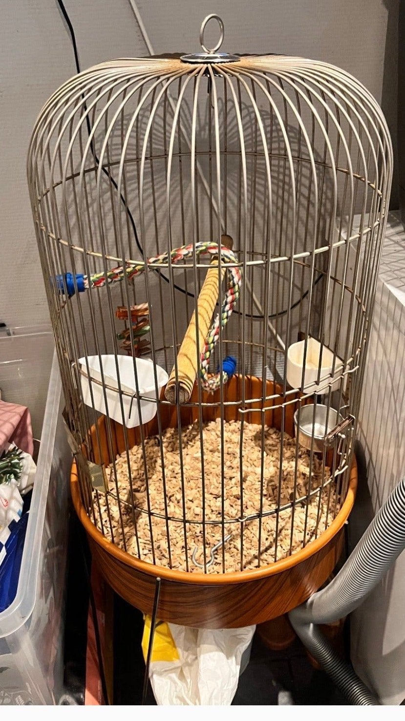 Ronde vogelkooi op standaard, Dieren en Toebehoren, Ophalen, Gebruikt, Metaal, Vogelkooi