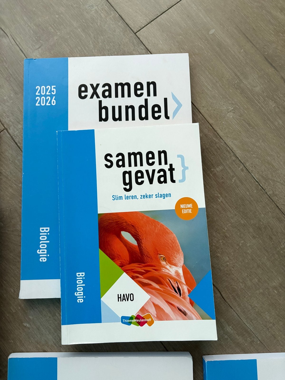 Examenbundels en Samengevat boeken HAVO 2025-2026, Boeken, Ophalen, Beta, Zo goed als nieuw, Overige niveaus