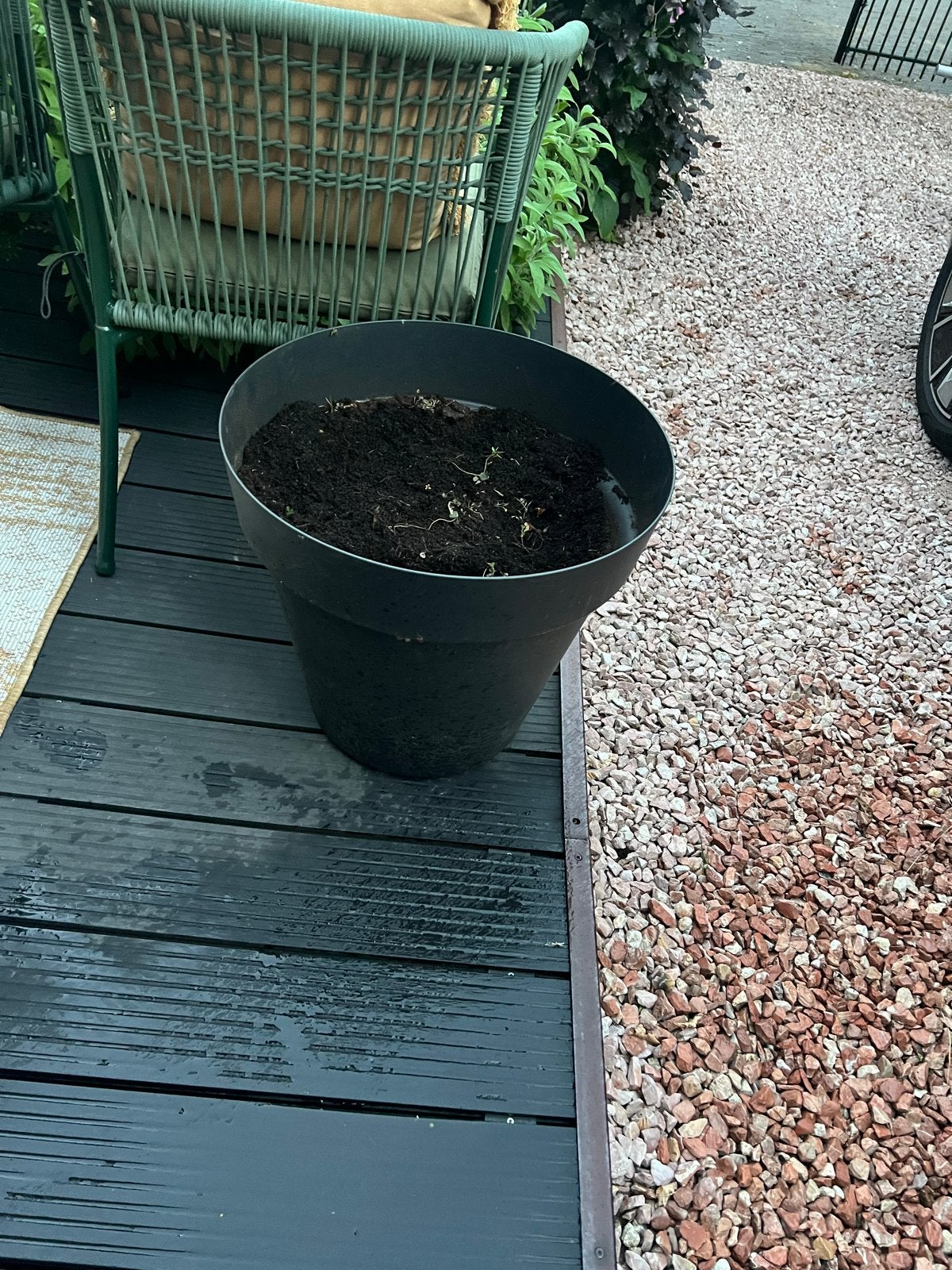 Stevige plastic pot met aarde, Tuin en Terras, Bloempotten, Ophalen, Kunststof, Gebruikt, 40 cm of meer