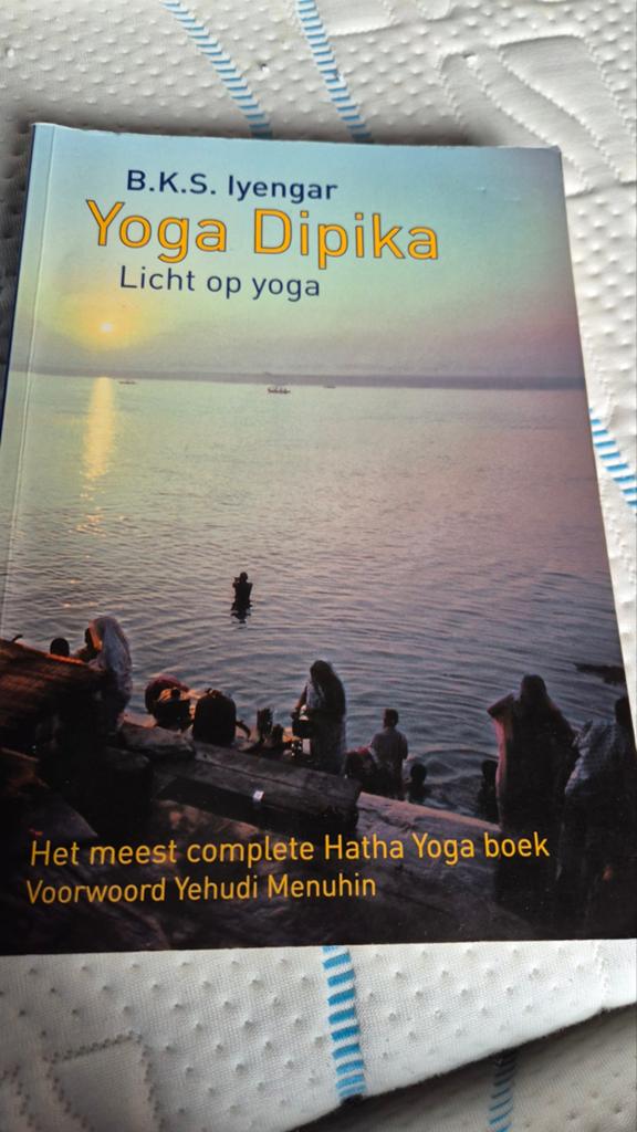 B.K.S. Iyengar - Yoga dipika (licht op yoga), Boeken, Meditatie of Yoga, B.K.S. Iyengar, Ophalen of Verzenden, Zo goed als nieuw