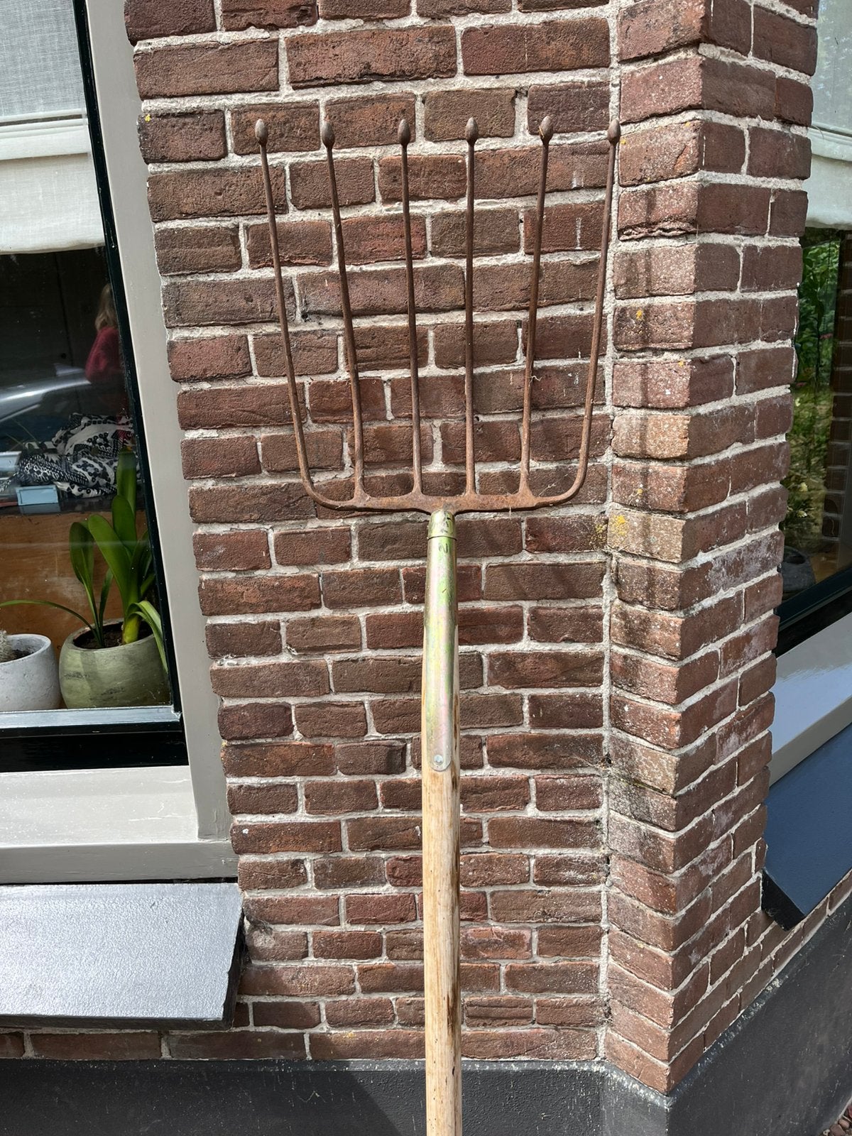 Aardappel geep, Ophalen of Verzenden