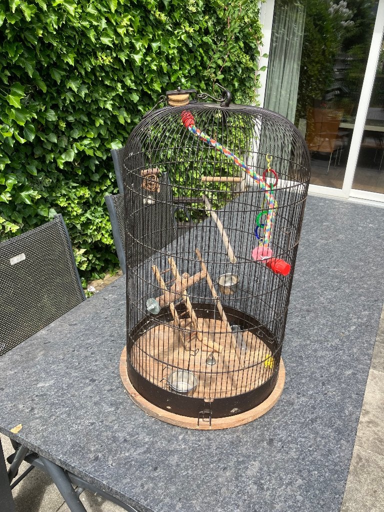 Vogelkooi, Dieren en Toebehoren, Ophalen, Gebruikt, Metaal, Vogelkooi