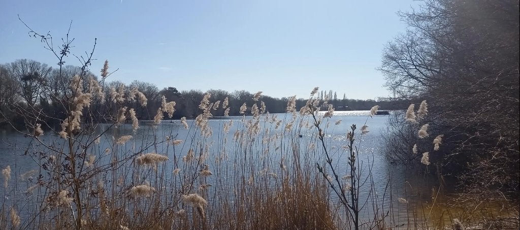 Zwemmen in Handel ( rooise plas), Contacten en Berichten