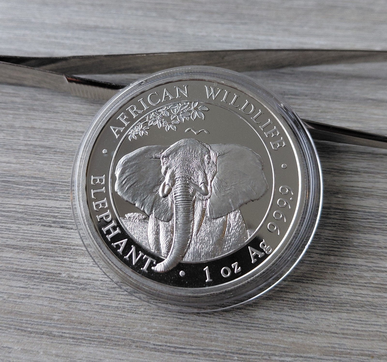 2021 Somalie Olifant 1 oz .999 Zilver, Ophalen of Verzenden, Zilver