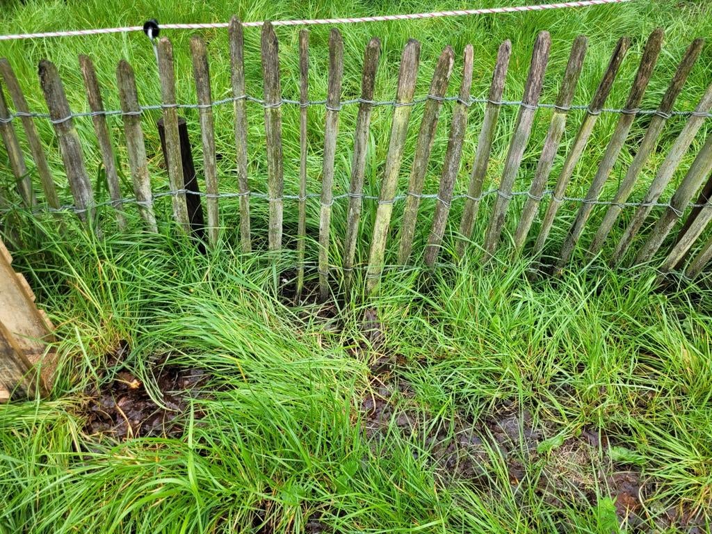 Hekwerk/ schapenhekwerk/ houten hekwerk, Tuin en Terras, Ophalen, Hout