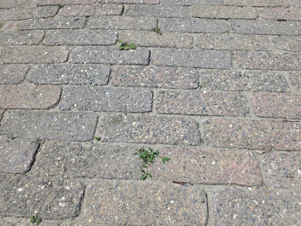 Gebruikte betonnen klinkers voor tuin of oprit, Tuin en Terras, Tegels en Klinkers, Ophalen, Gebruikt, Klinkers, 10 m² of meer