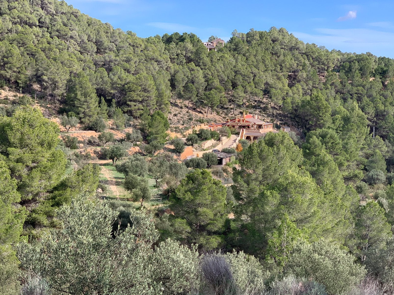 COSTA BLANCA (binnenland) uniek appartement in natuur, Vakantie, Tuin