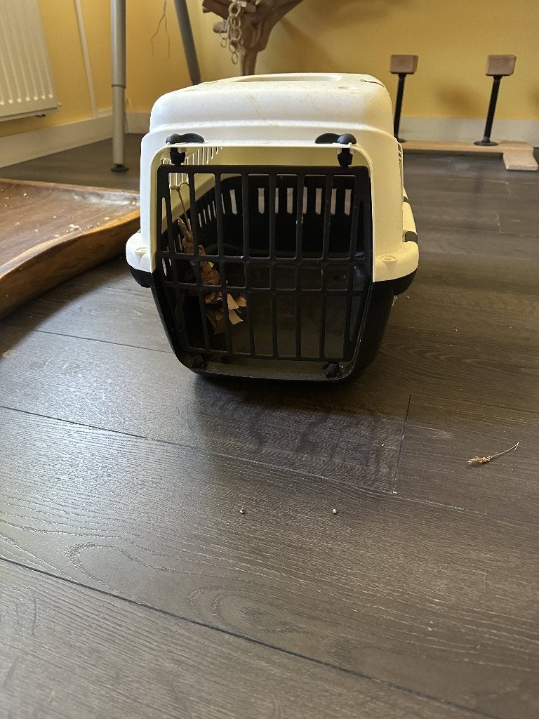 Kattenvervoerbak, Ophalen, Zo goed als nieuw