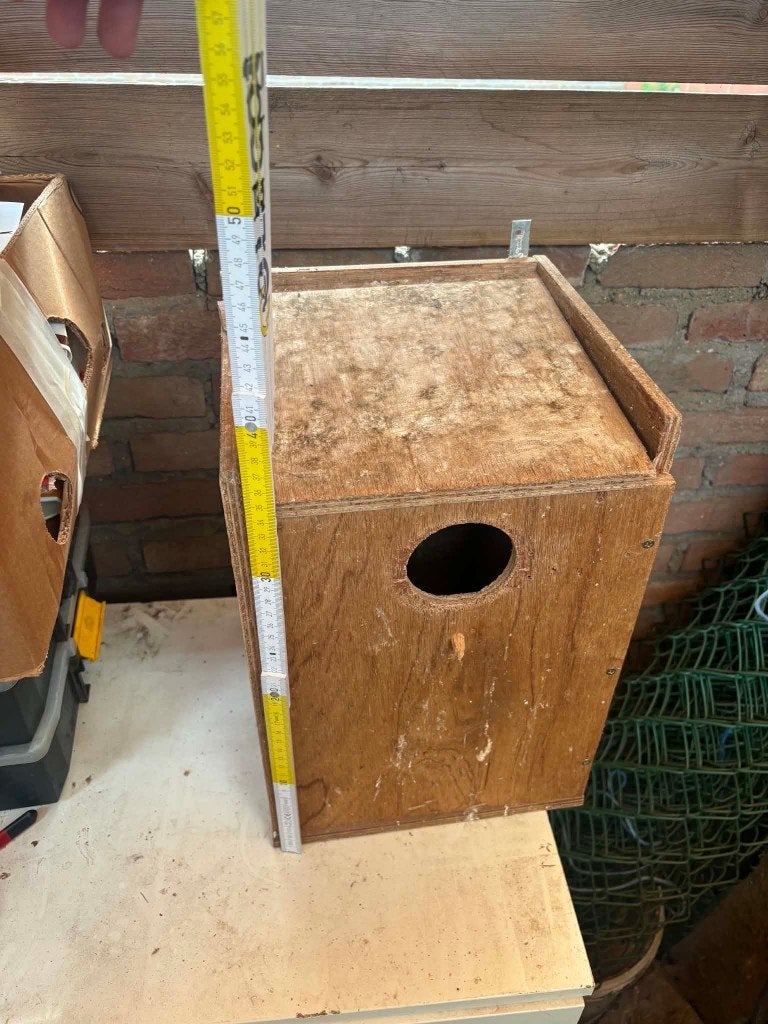 te koop voor vogels, Dieren en Toebehoren, Vogels | Kanaries, Meerdere dieren, Kleurkanarie