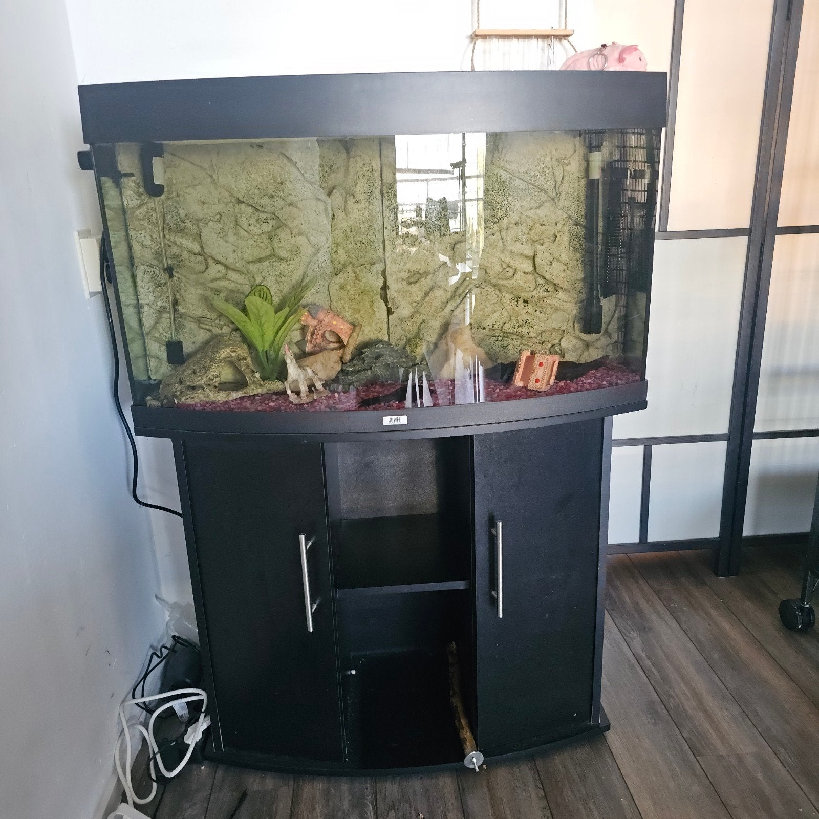 Volledig aquarium 140Liter, Ophalen, Gebruikt, Inclusief deksel, Gevuld zoetwateraquarium