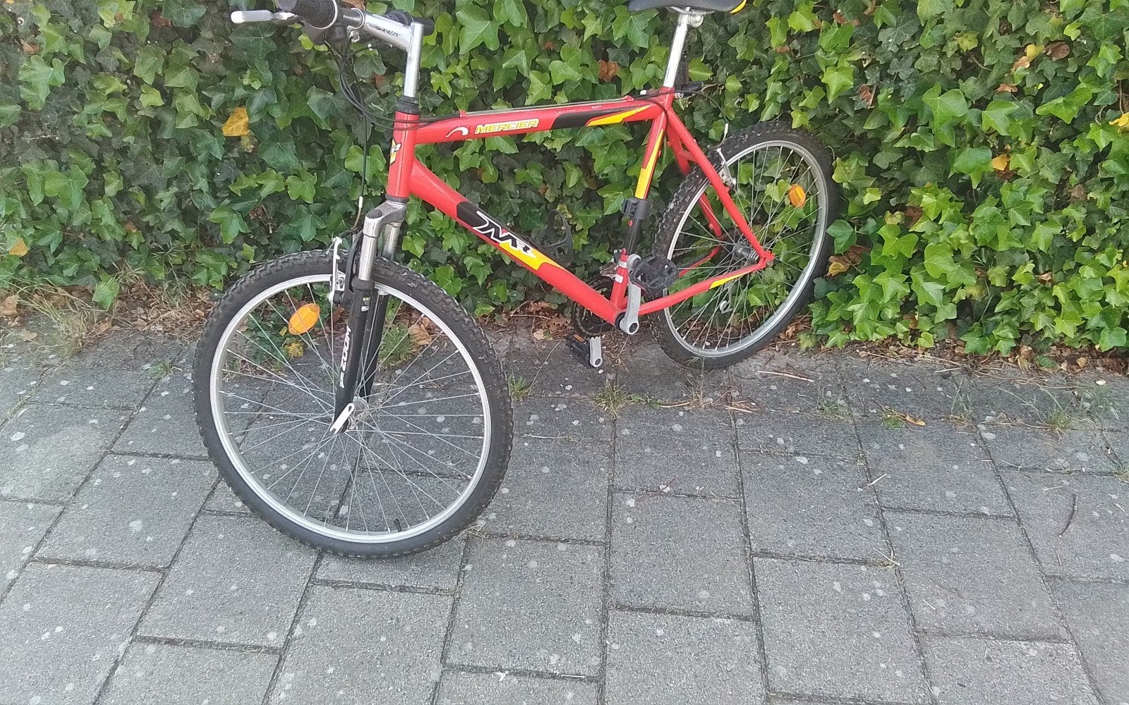 Mountainbike te koop, Ophalen, Gebruikt, Staal, 24 inch of meer
