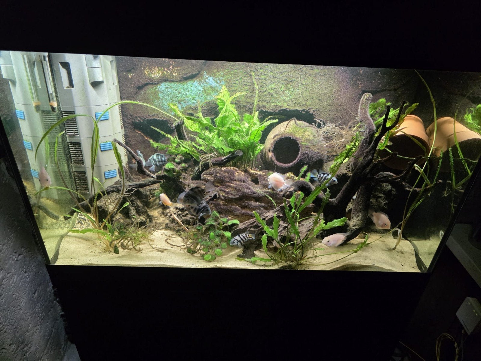 Oase Styleline 125, Dieren en Toebehoren, Gebruikt, Oase, Leeg aquarium, Ophalen