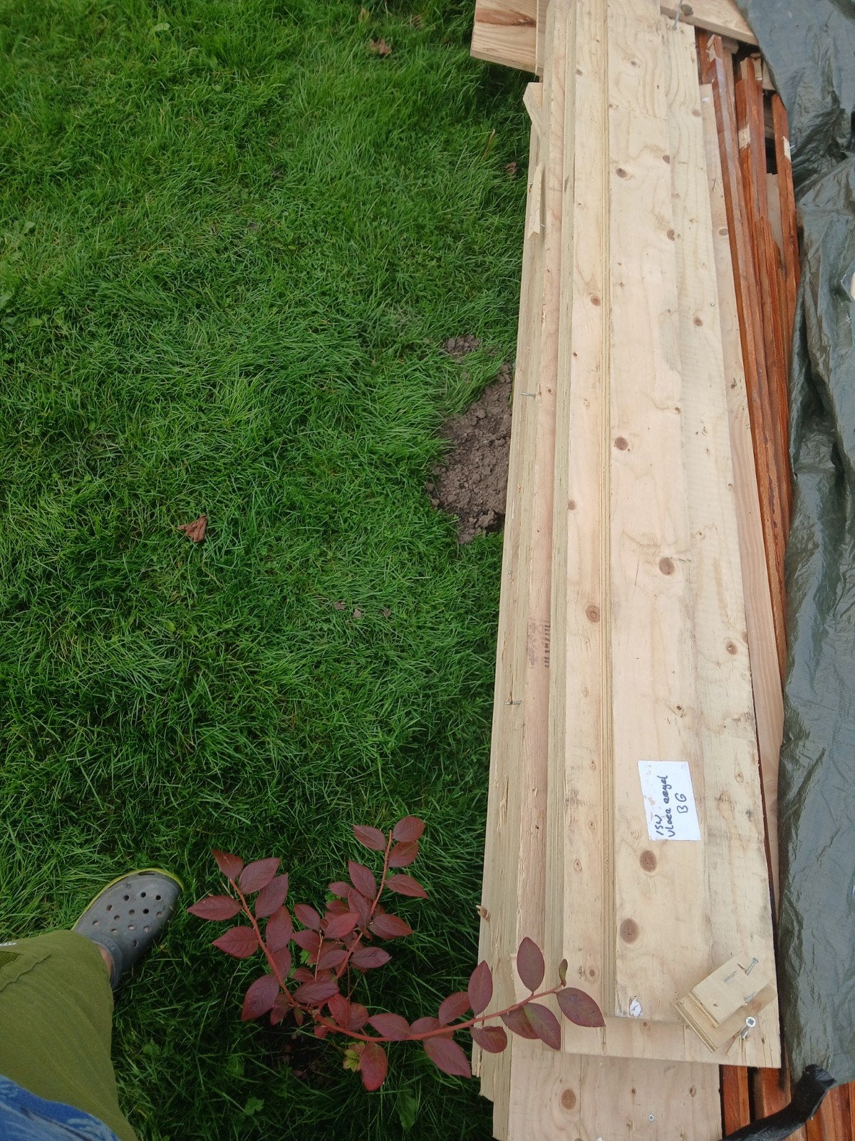 in Breukelen op te halen: 4 Multiplex Balken - 200x70 mm, ru, Ophalen, Gebruikt, 200 tot 250 cm, 50 mm of meer