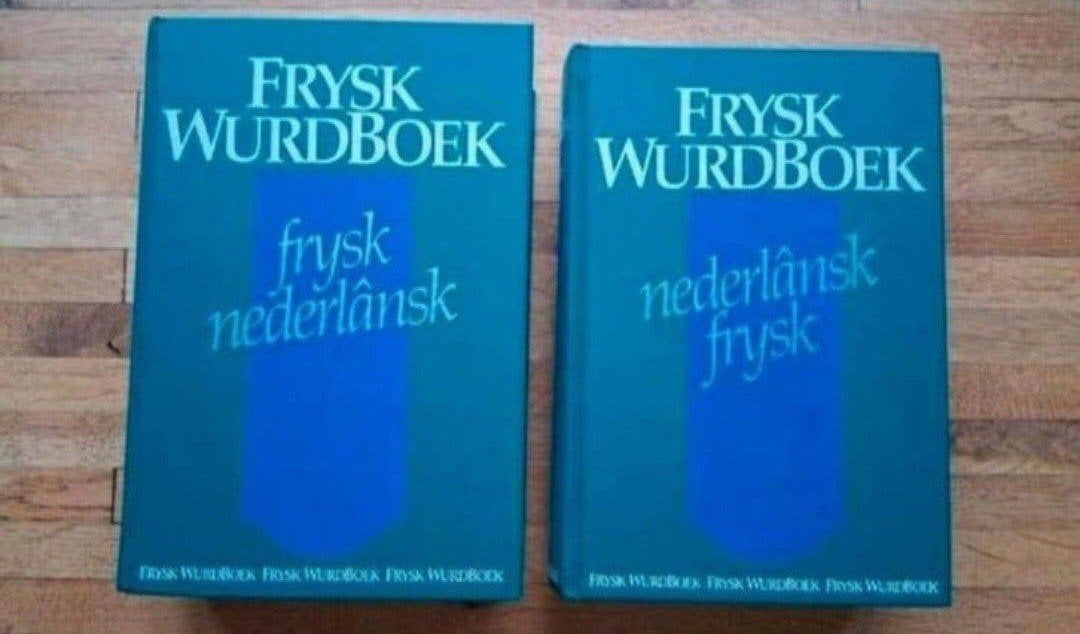 2 delige set woordenboeken Fries Nederlands Nederlands fries, Boeken, Ophalen of Verzenden, Zo goed als nieuw, Nederlands