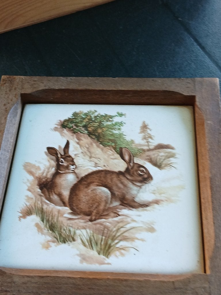 Tegeltje konintjes in houten lijst, Ophalen of Verzenden