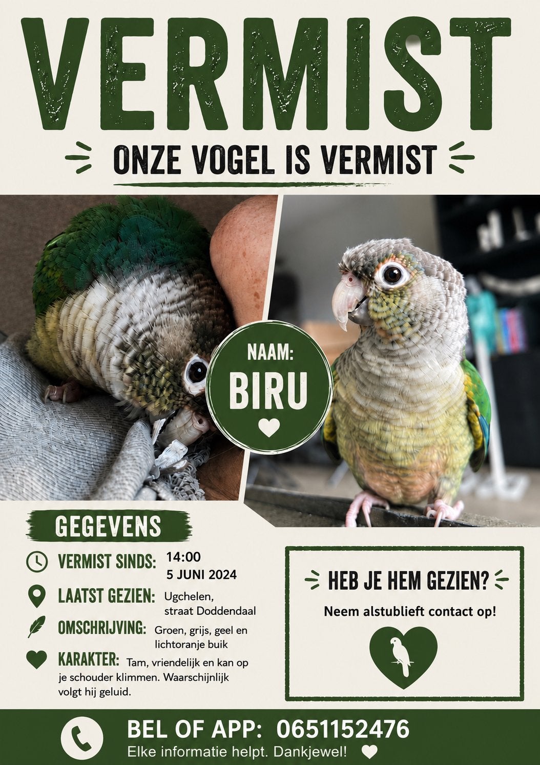 Vogel vermist Ugchelen/apeldoorn, Dieren en Toebehoren, Vogel