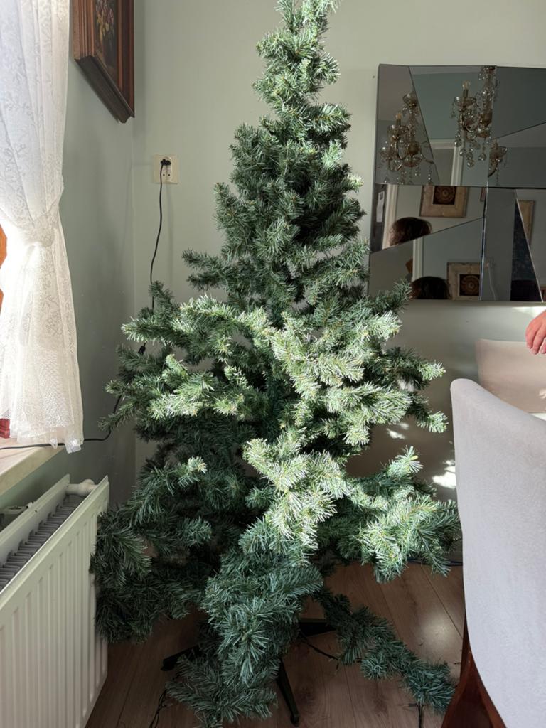 Gratis kerstboom, Diversen, Kerst, Ophalen