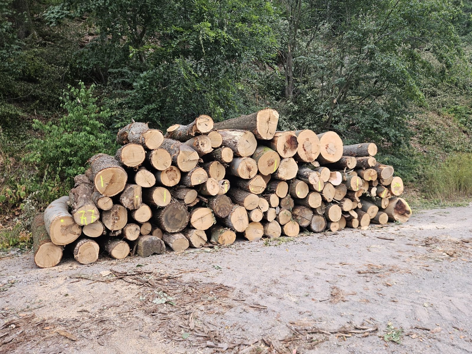 Mooie Vracht rondhout eik/beuk, om zelf te zagen en kloven, Tuin en Terras, Haardhout, Minder dan 3 m³, Ophalen of Verzenden