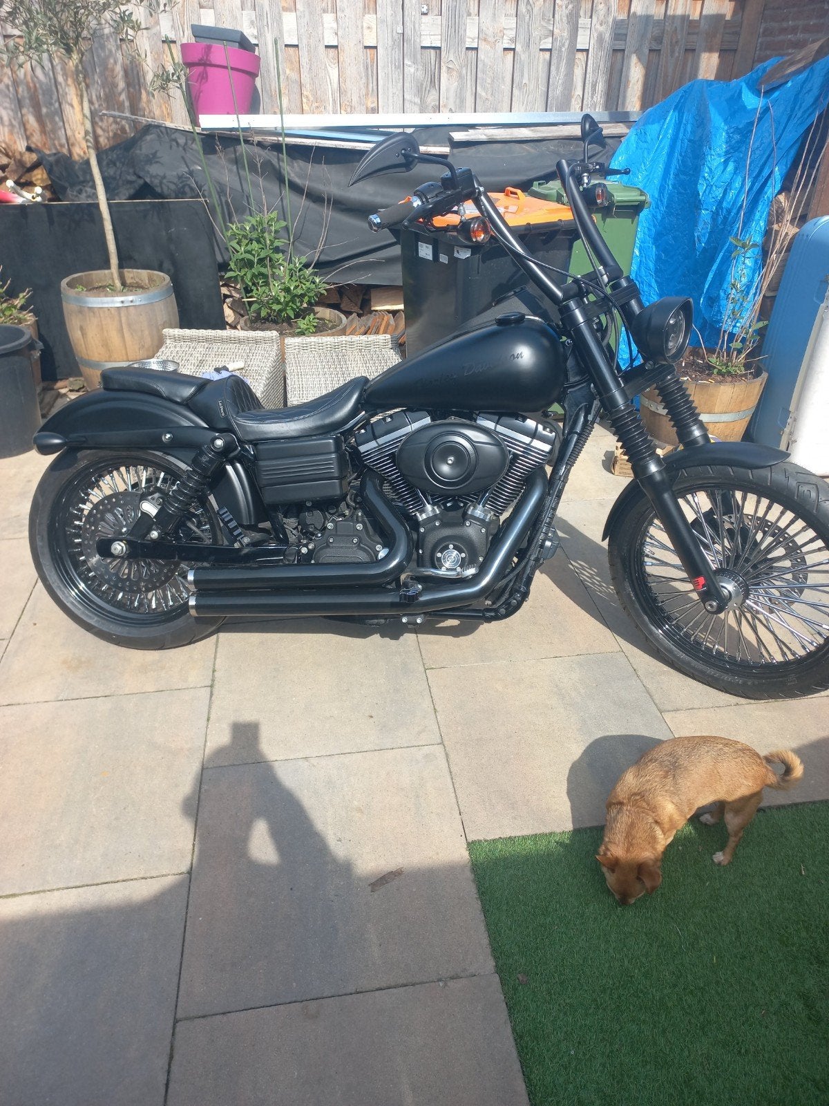 Harley Davidson FXDB, Motoren, Particulier, Chopper