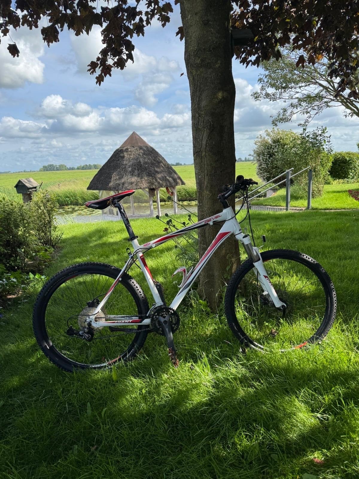 Giant Mountainbike - Goede staat, voorrem heeft aandacht nod, Ophalen of Verzenden, Gebruikt, Giant