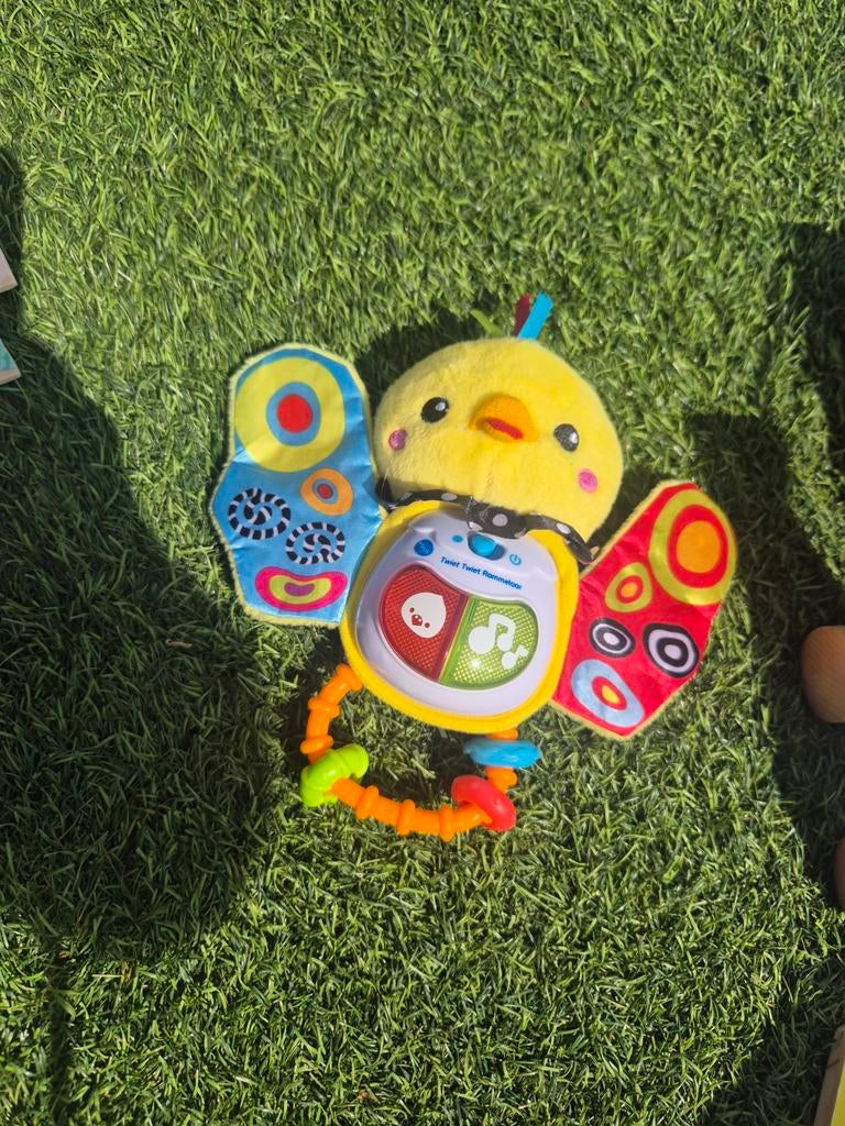 VTech Vogeltje Rammelaar met Muziek en Licht, Ophalen of Verzenden, Gebruikt, 0 tot 6 maanden