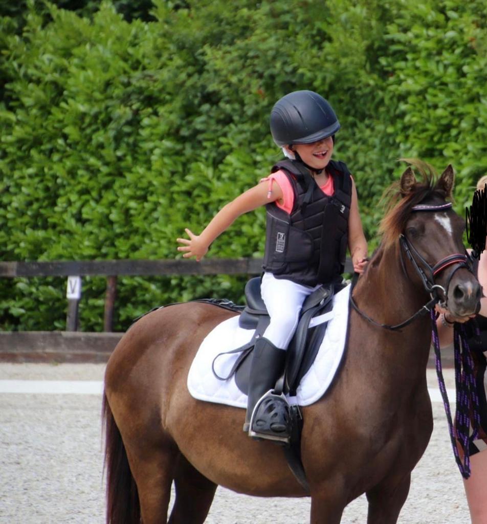 Lieve grote b pony, Dieren en Toebehoren, Pony's, Zadelmak, 7 tot 10 jaar, B pony (1.17m tot 1.27m), Recreatiepony