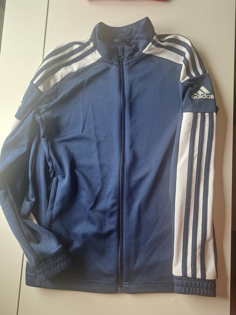 Blauw adidas vest mt 164, Ophalen, Adidas, Gebruikt, Trui of Vest