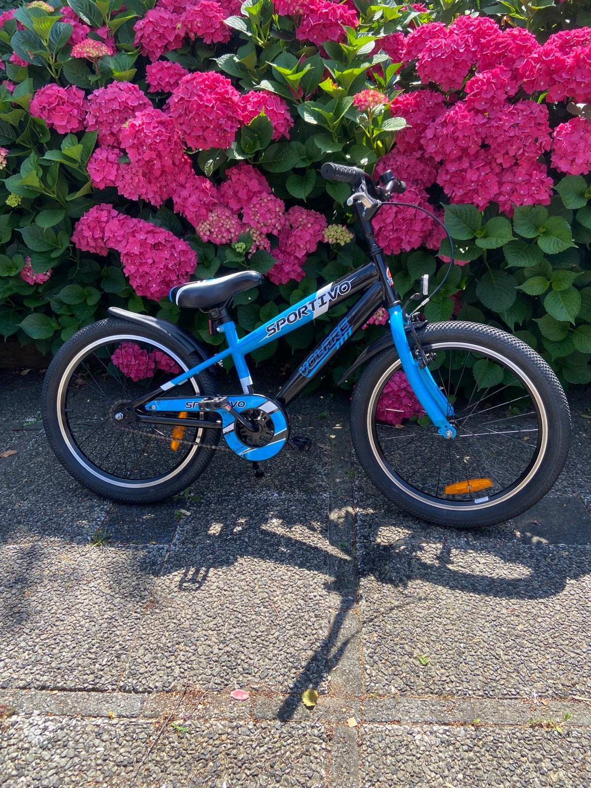 Stoere kinderfiets 20 inch crossfiets met terugtraprem en, Fietsen en Brommers, Fietsen | Crossfietsen en BMX, Ophalen, Terugtraprem