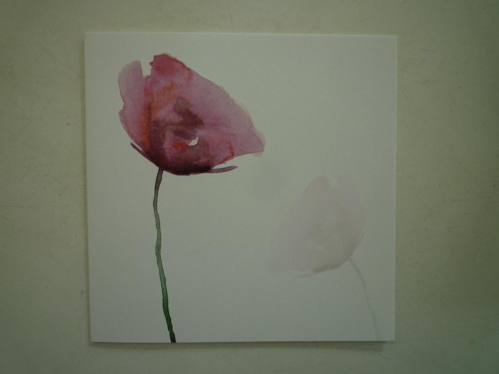 Kunstkaart Michelle Dujardin klaproos papaver bloemen, Ophalen of Verzenden, Voor 1920, Overige thema's