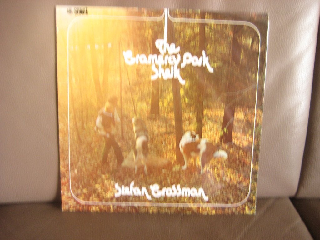 Stefan Grossman – The Gramercy Park Sheik, LP, Ophalen of Verzenden, Zo goed als nieuw, 12 inch