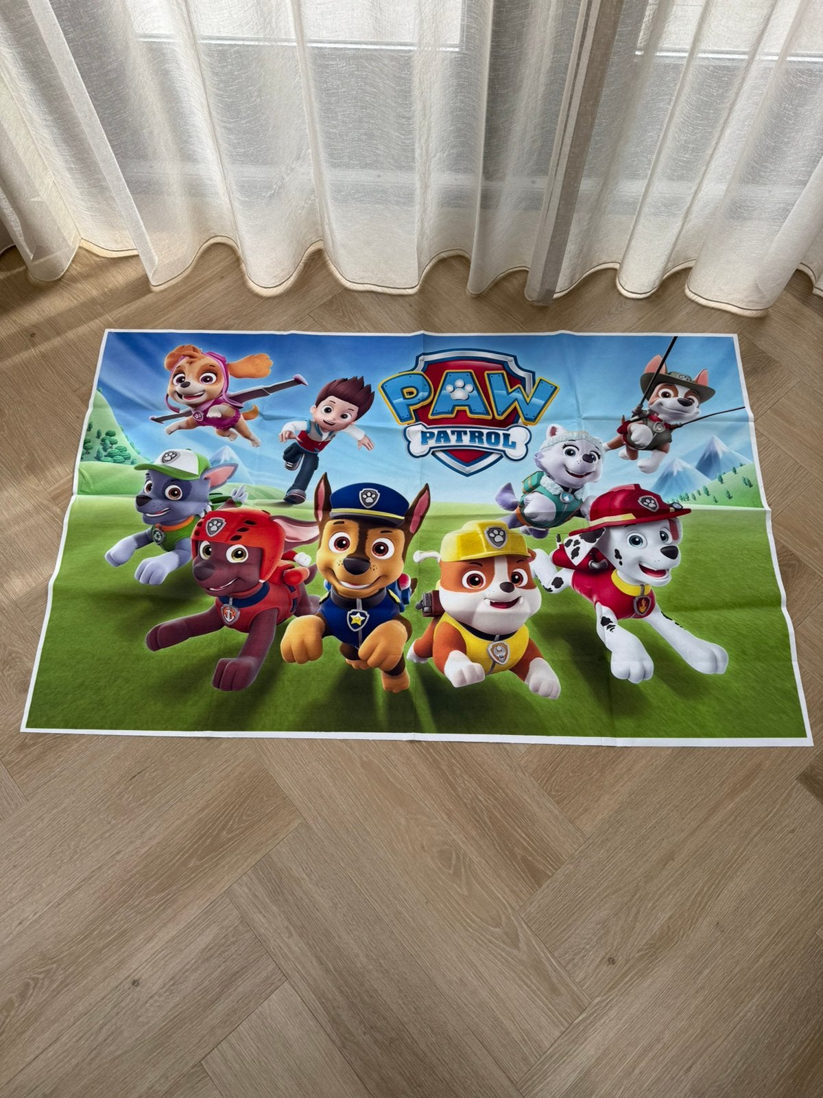 Paw patrol feest decoratie, Ophalen of Verzenden, 10 tot 50 stukjes, Zo goed als nieuw