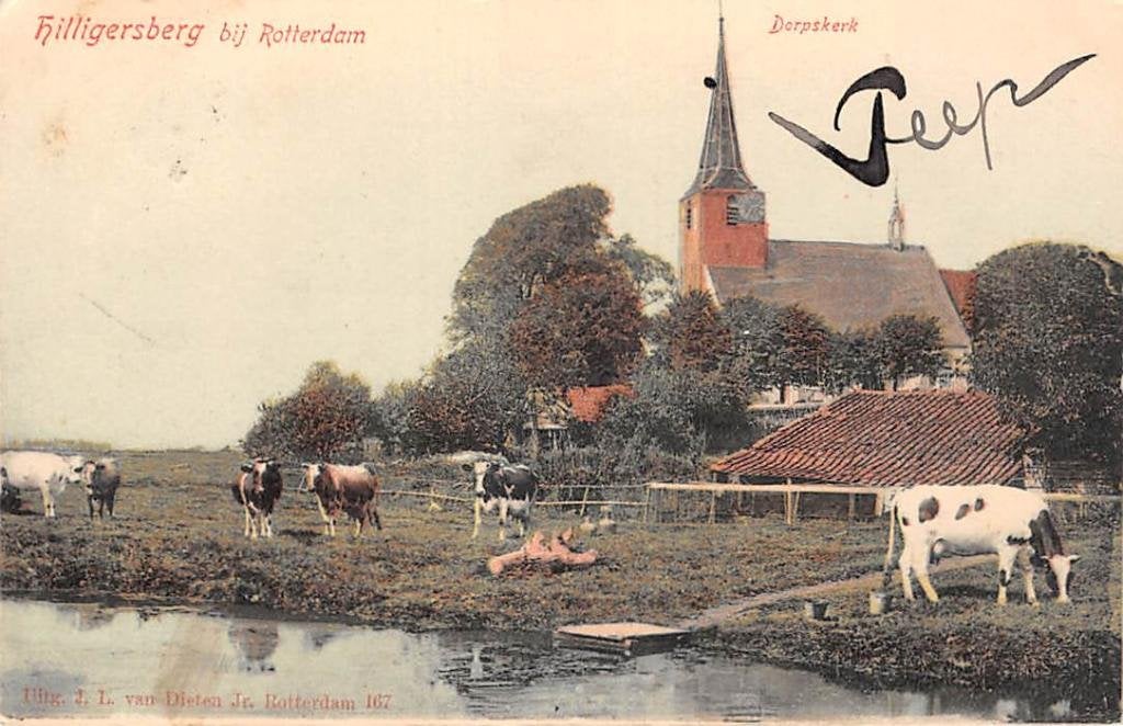 Hillegersberg bij Rotterdam Dorpskerk met koeien in de wei, Ophalen of Verzenden, Voor 1920, Gelopen, Zuid-Holland