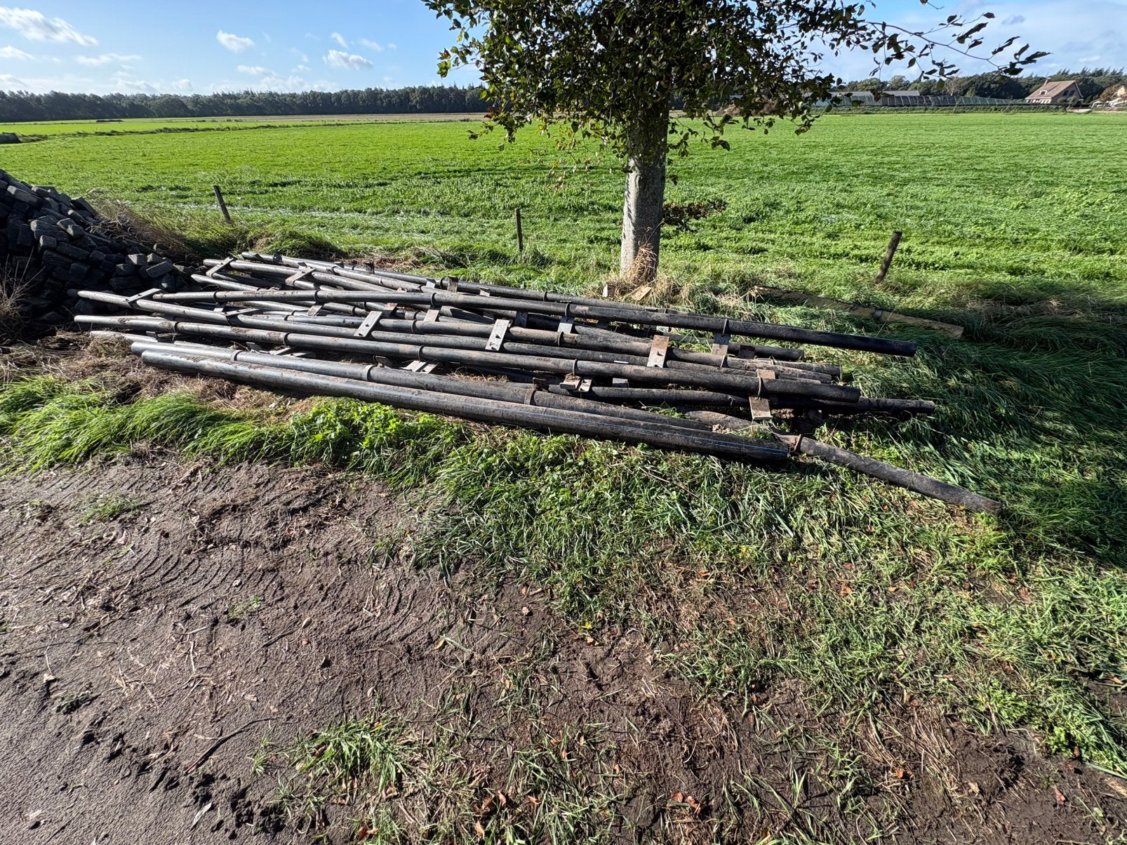 Knieboom te koop, Stalling, 1 paard of pony