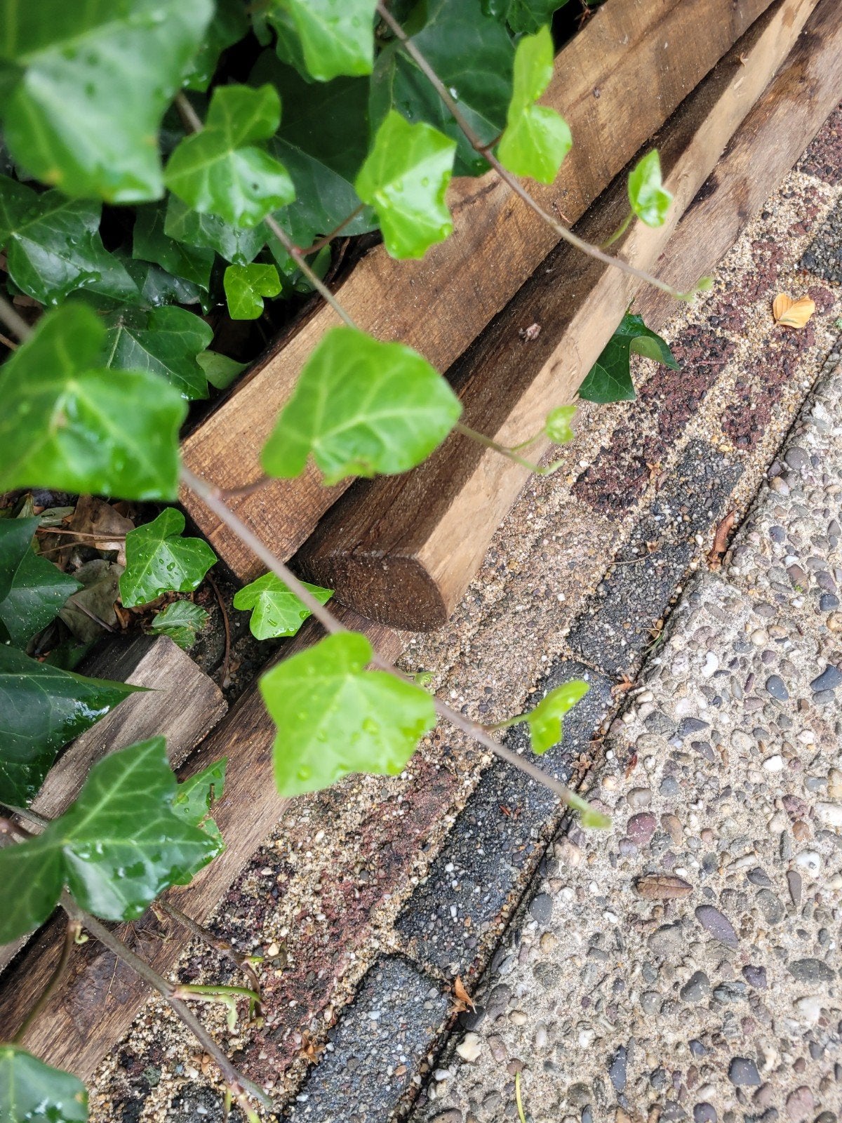 Kastanjehouten palen en halfronde palen, diverse diameters, Tuin en Terras, Palen, Balken en Planken, Ophalen, Gebruikt, Palen