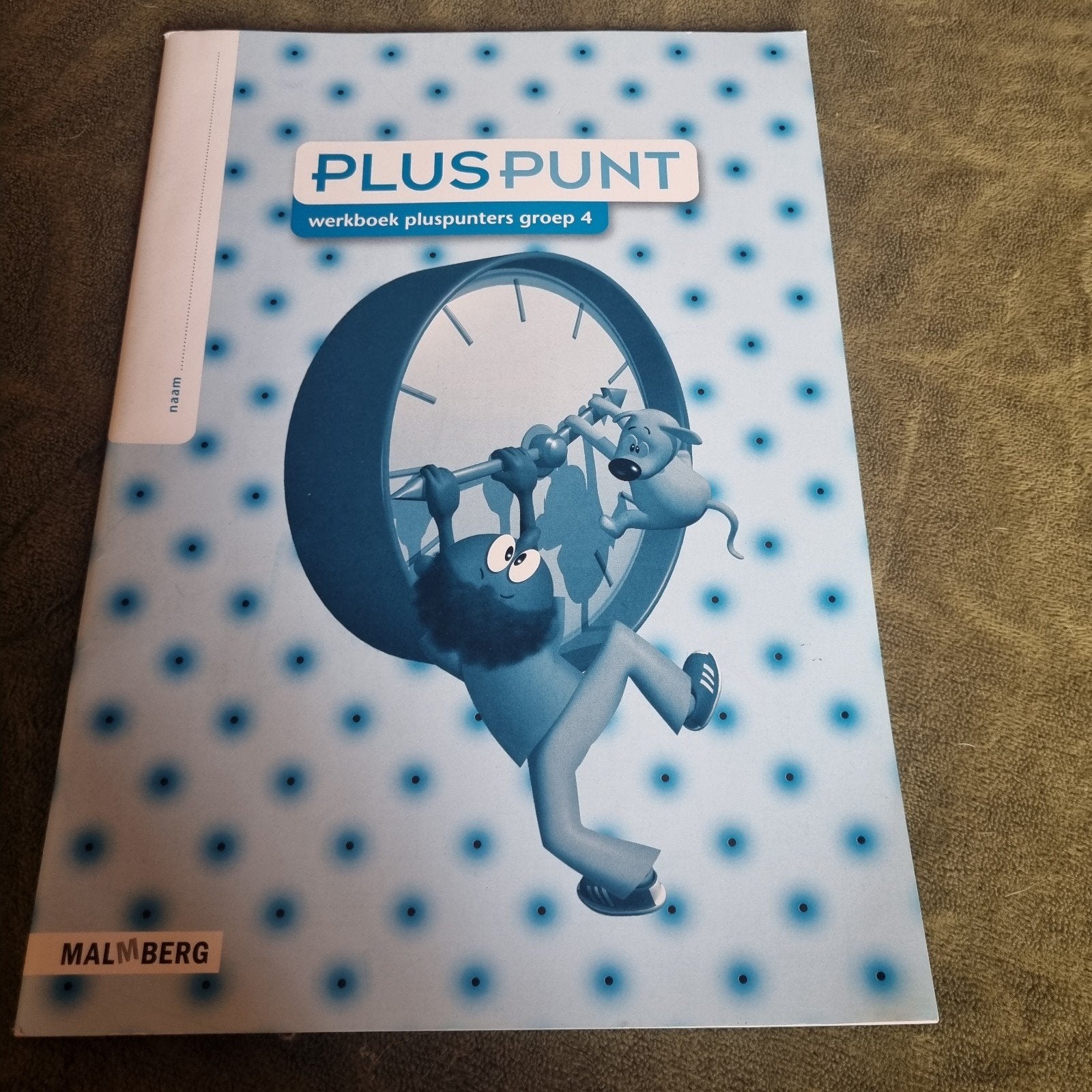 Groep 4 Pluspunt Werkboek  Malmberg pluspunters, Ophalen of Verzenden, Nieuw, Malmberg, Fictie algemeen
