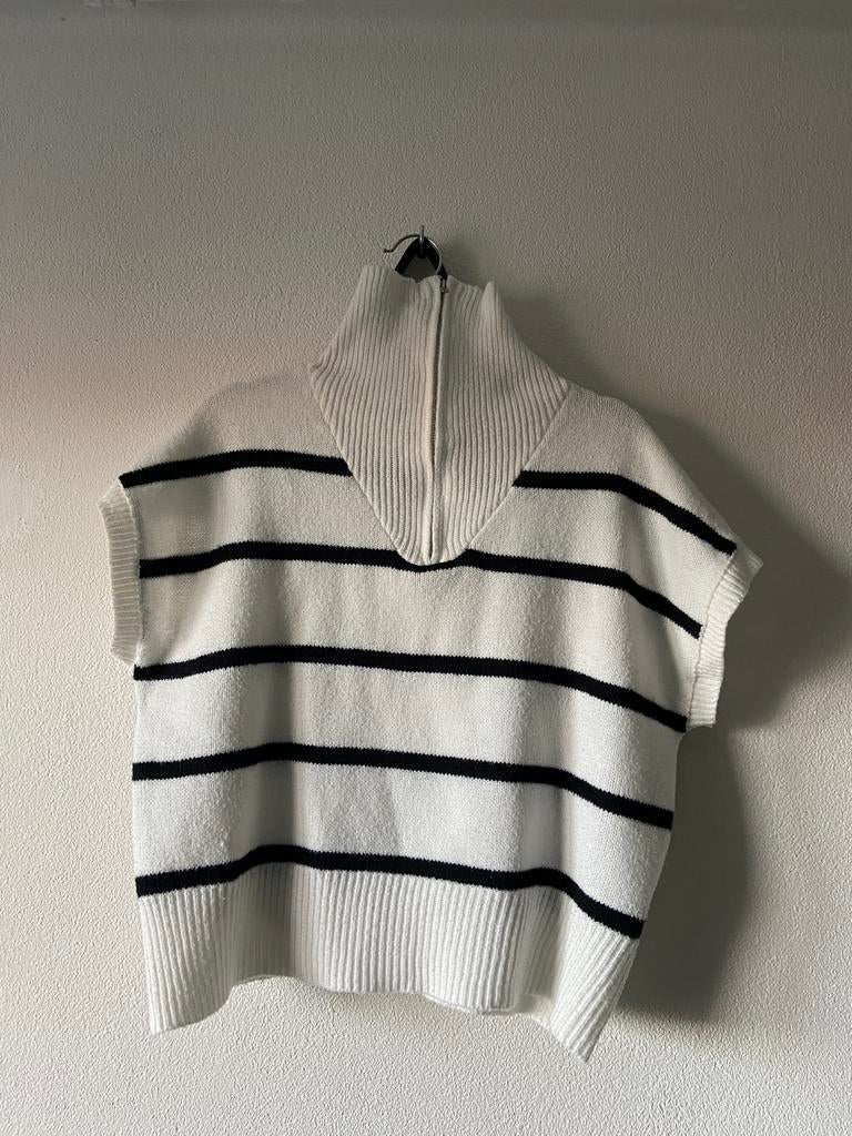 Trui streep, Overige kleuren, Maat 42/44 (L), Ophalen of Verzenden, Onbekend