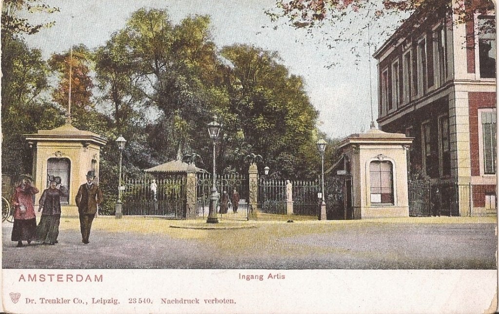 Amsterdam Ingang Artis ca. 1900 Uitg. Trenkler, Ophalen of Verzenden, Voor 1920, Ongelopen, Noord-Holland