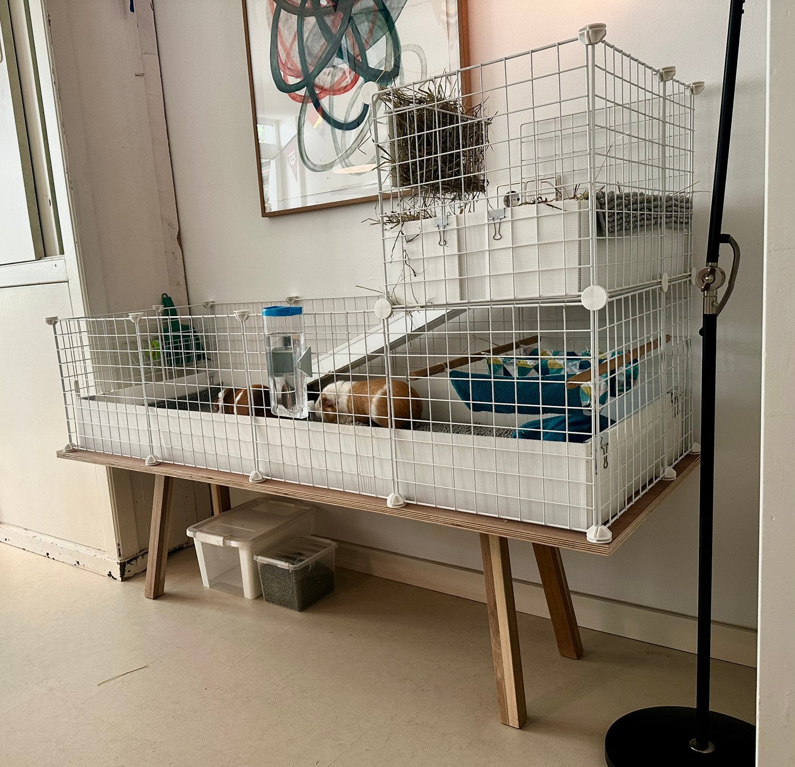 Draadkubus cavia kooi (afmetingen H 74 x L 147 x B 60 cm), Kooi, 110 cm of meer, Zo goed als nieuw, Cavia