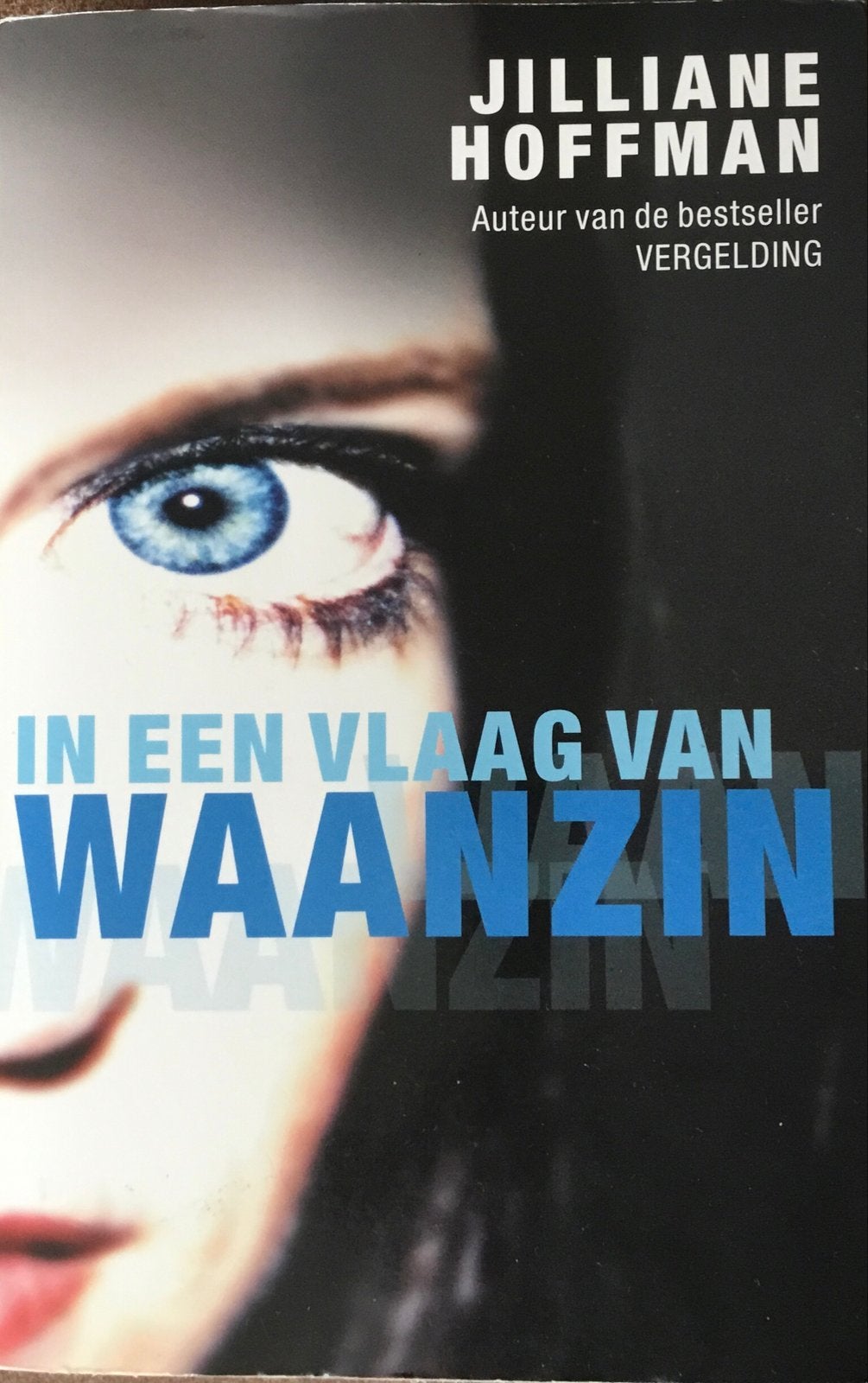 Jillian Hoffman - In een vlaag van waanzin, Ophalen of Verzenden, Gelezen, Nederland