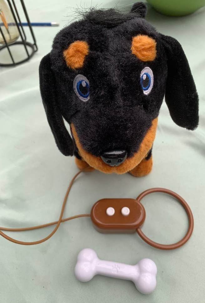 Schattige teckel (Pitter Patter Pets) met afstandsbediening, Ophalen of Verzenden, Gebruikt, Overige typen