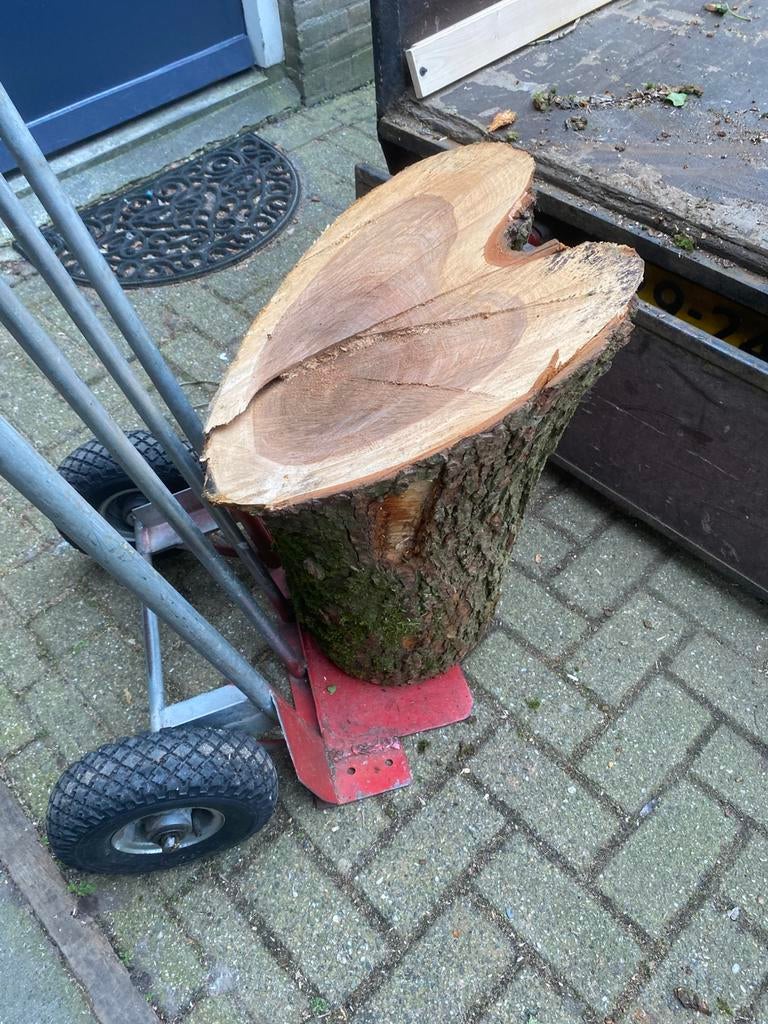 Apparte boomstam in hart vorm, Ophalen of Verzenden