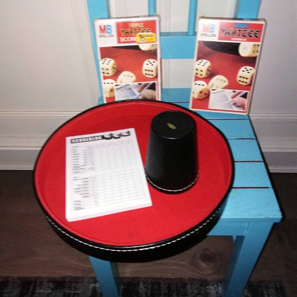 Yahtzee Spel met dobbelbak en Scoreblok, Vijf spelers of meer, Ophalen, Gebruikt