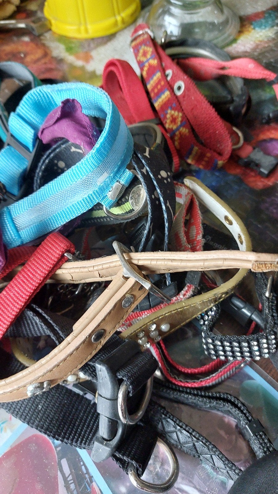 20 honden halsbandjes, Ophalen of Verzenden