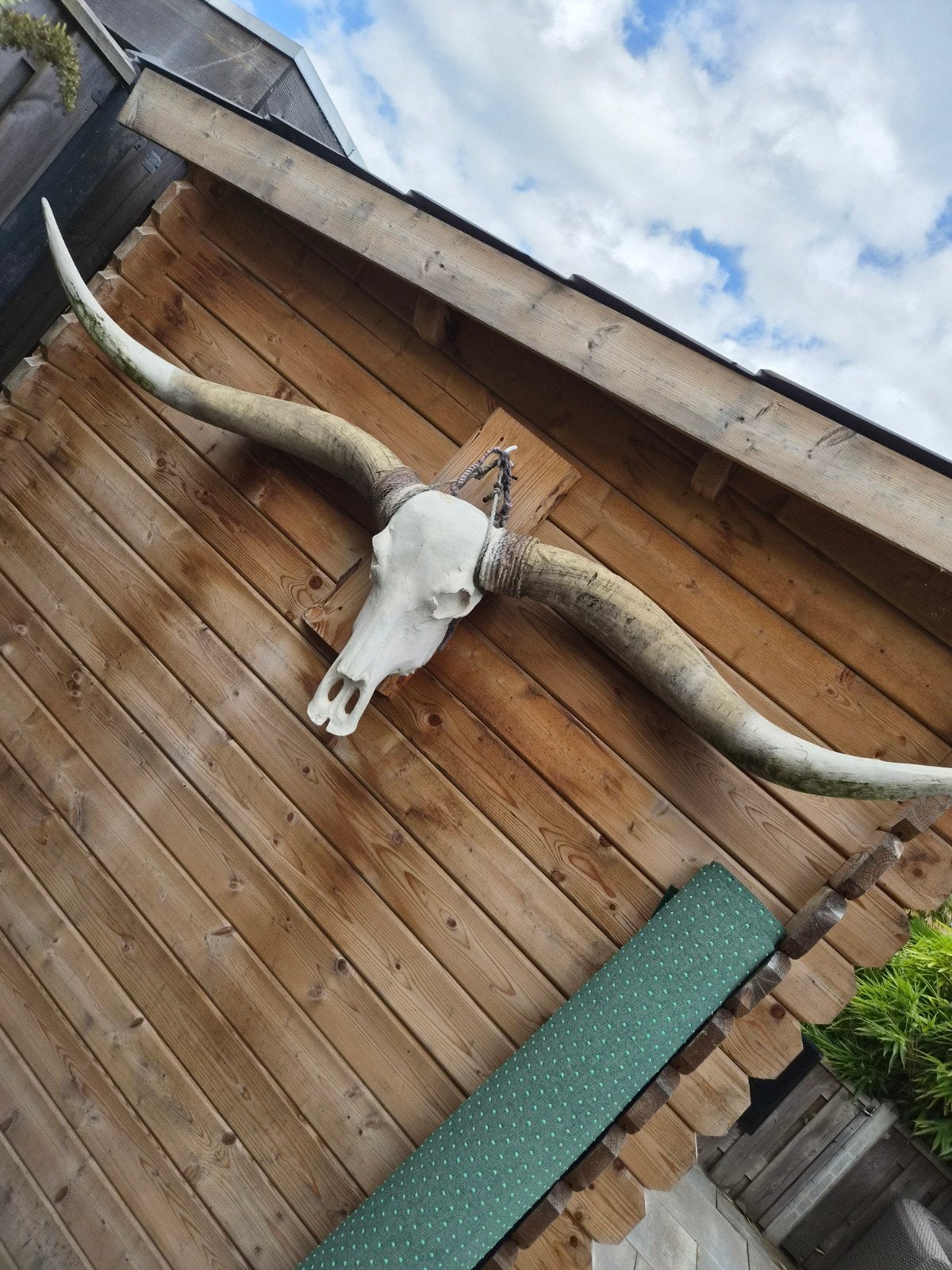 decoratieve longhouse schedel, Ophalen, 170 cm, Kunststof