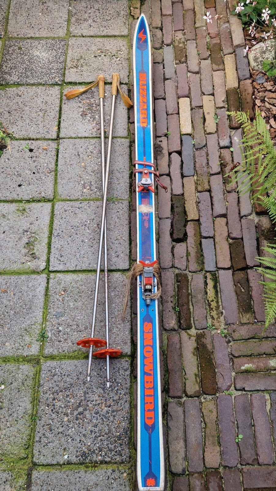 Blizzard ski's Retro/vintage, Ophalen, Plank