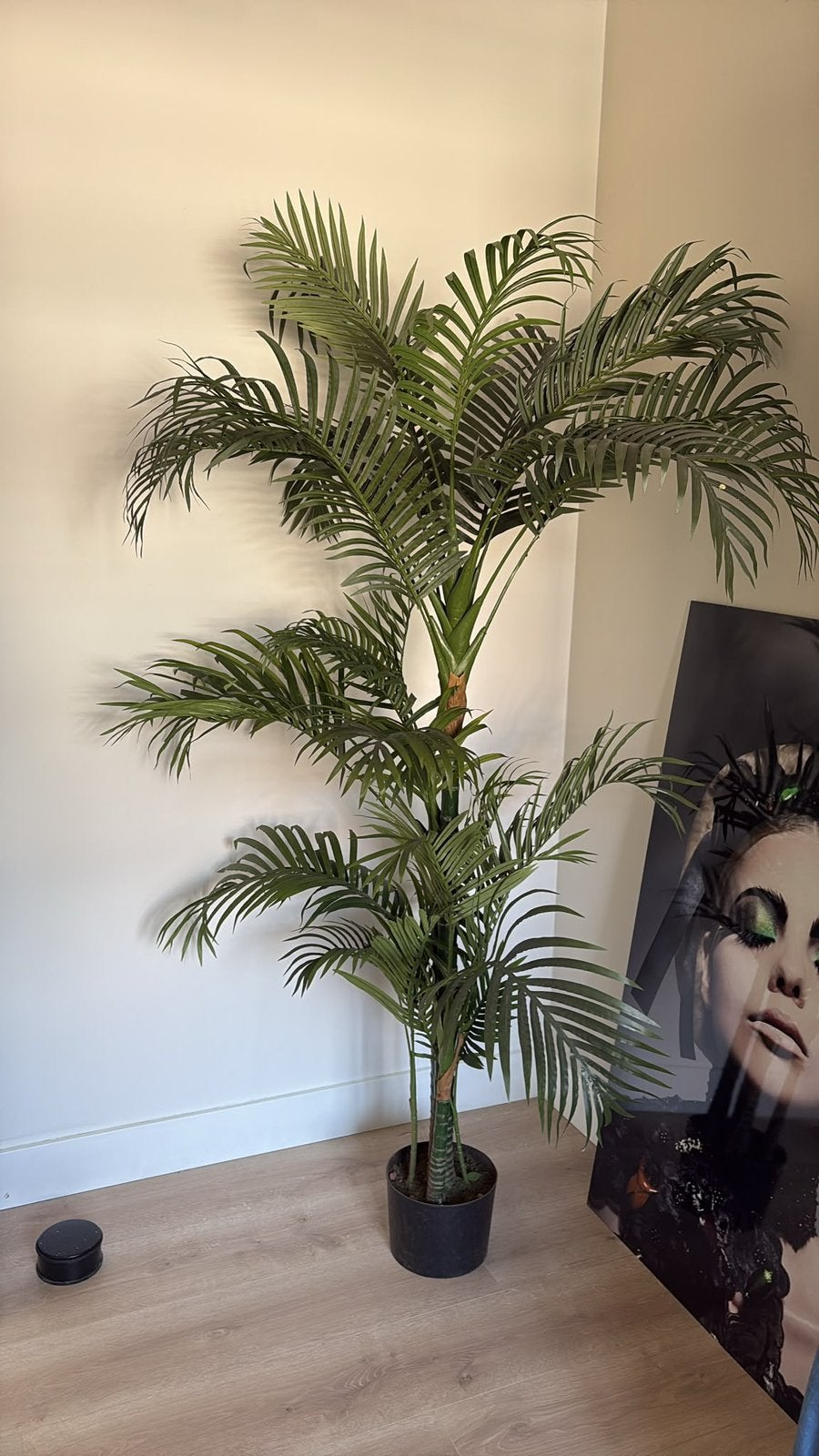 Kunst palm, Ophalen, Zo goed als nieuw