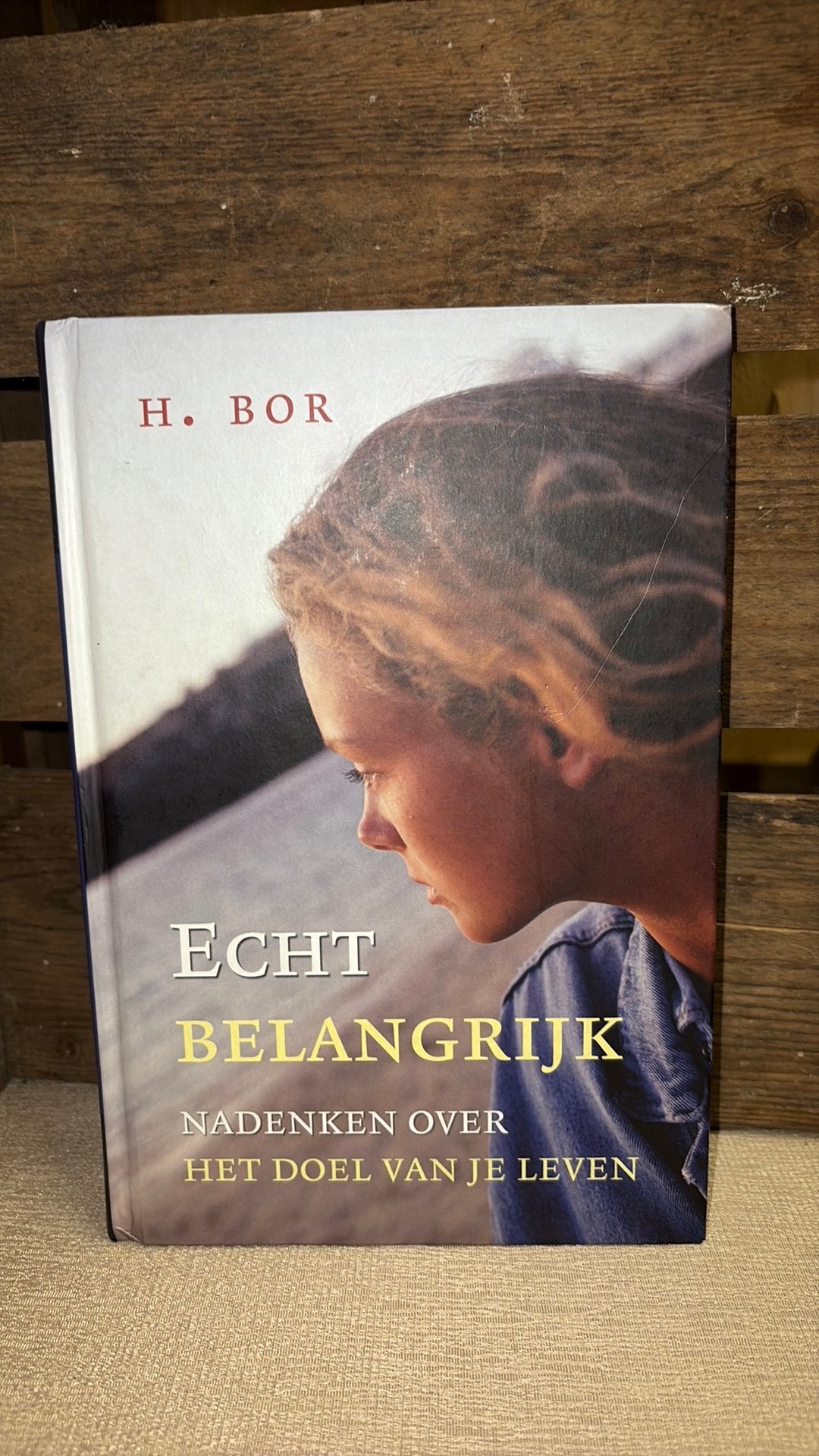 H. Bor - Echt belangrijk, Boeken, Ophalen of Verzenden, Zo goed als nieuw, H. Bor