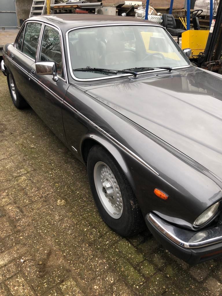 Daimler van de plas. Jaguar v 12  bj 1985 duits kenteken, Automaat, Beige, 12 cilinders, Particulier
